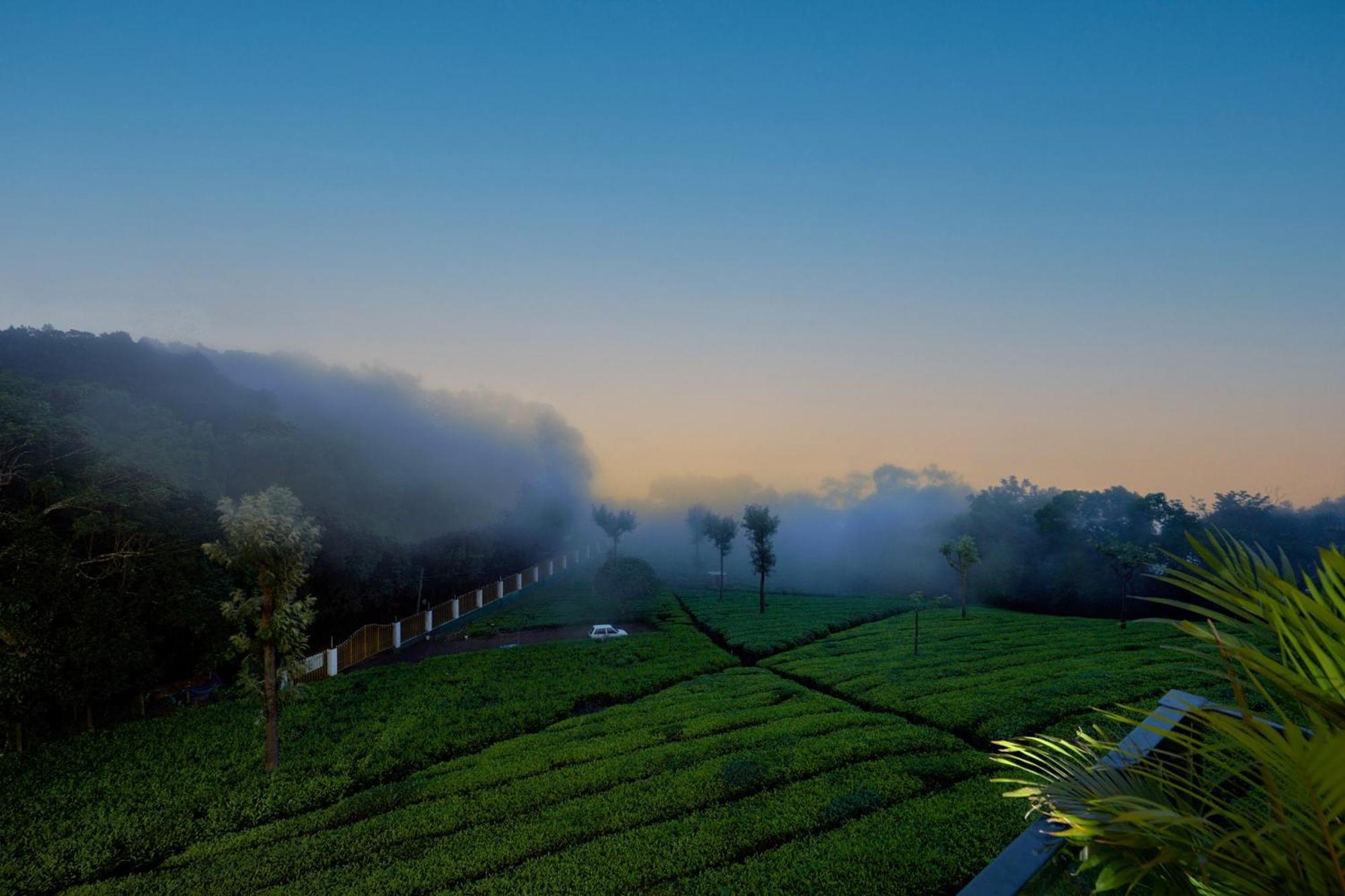 De Rock Jungle Living Resort Coonoor Exteriér fotografie