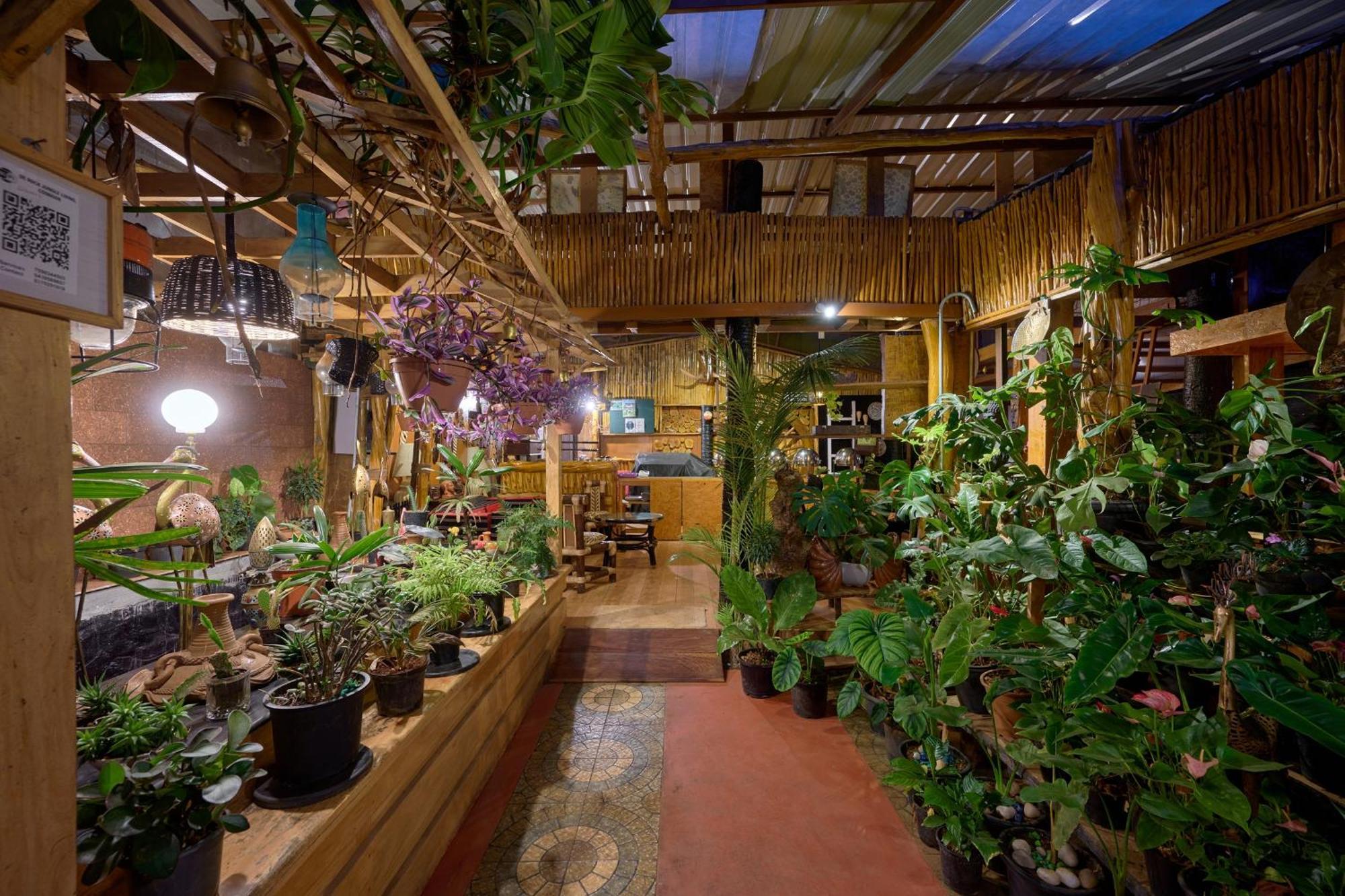 De Rock Jungle Living Resort Coonoor Exteriér fotografie