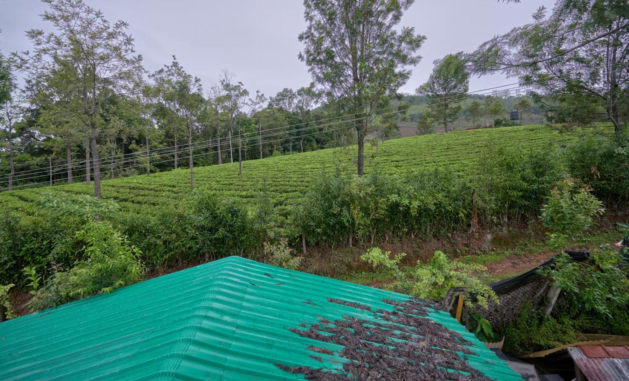 De Rock Jungle Living Resort Coonoor Exteriér fotografie